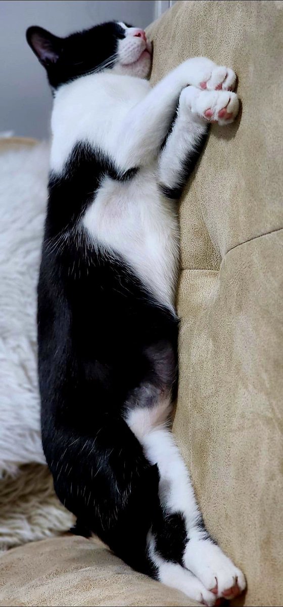 Hüseyin KESKİN tweet media