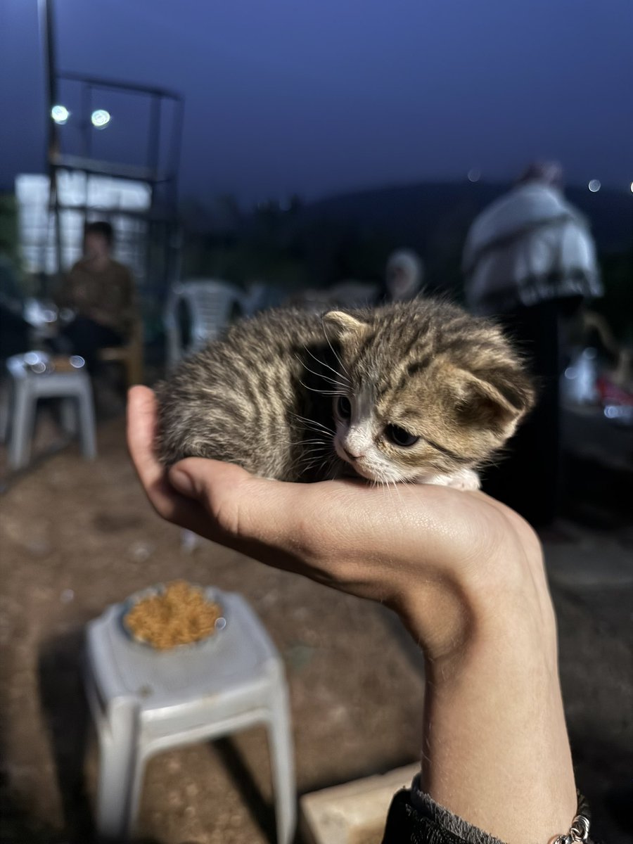 Andrey X tweet media