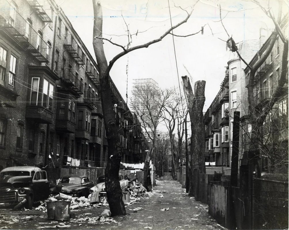 Jarjoh 🟥🚰🌇 tweet media