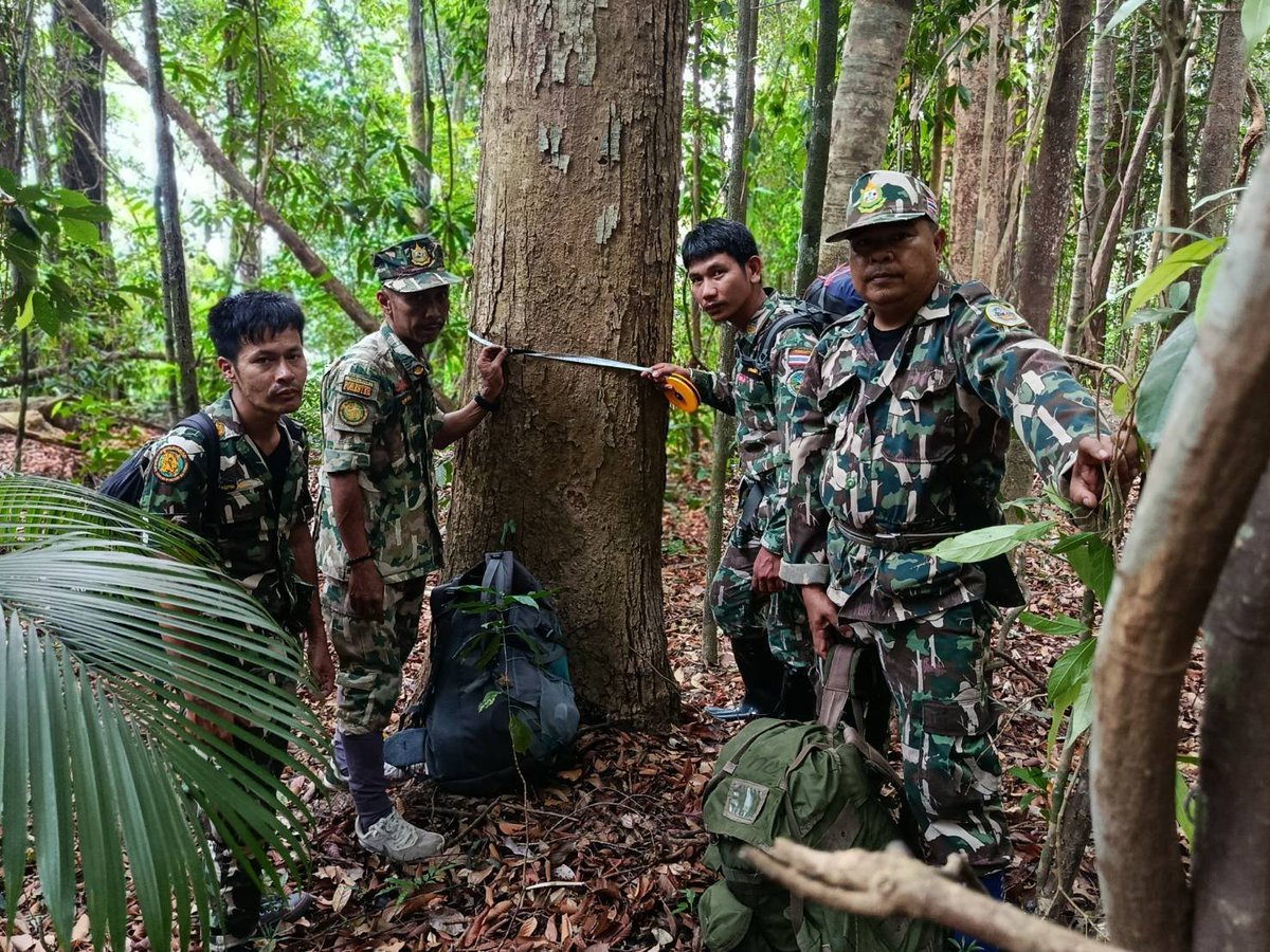 กรมอุทยานแห่งชาติ สัตว์ป่า และพันธุ์พืช tweet media
