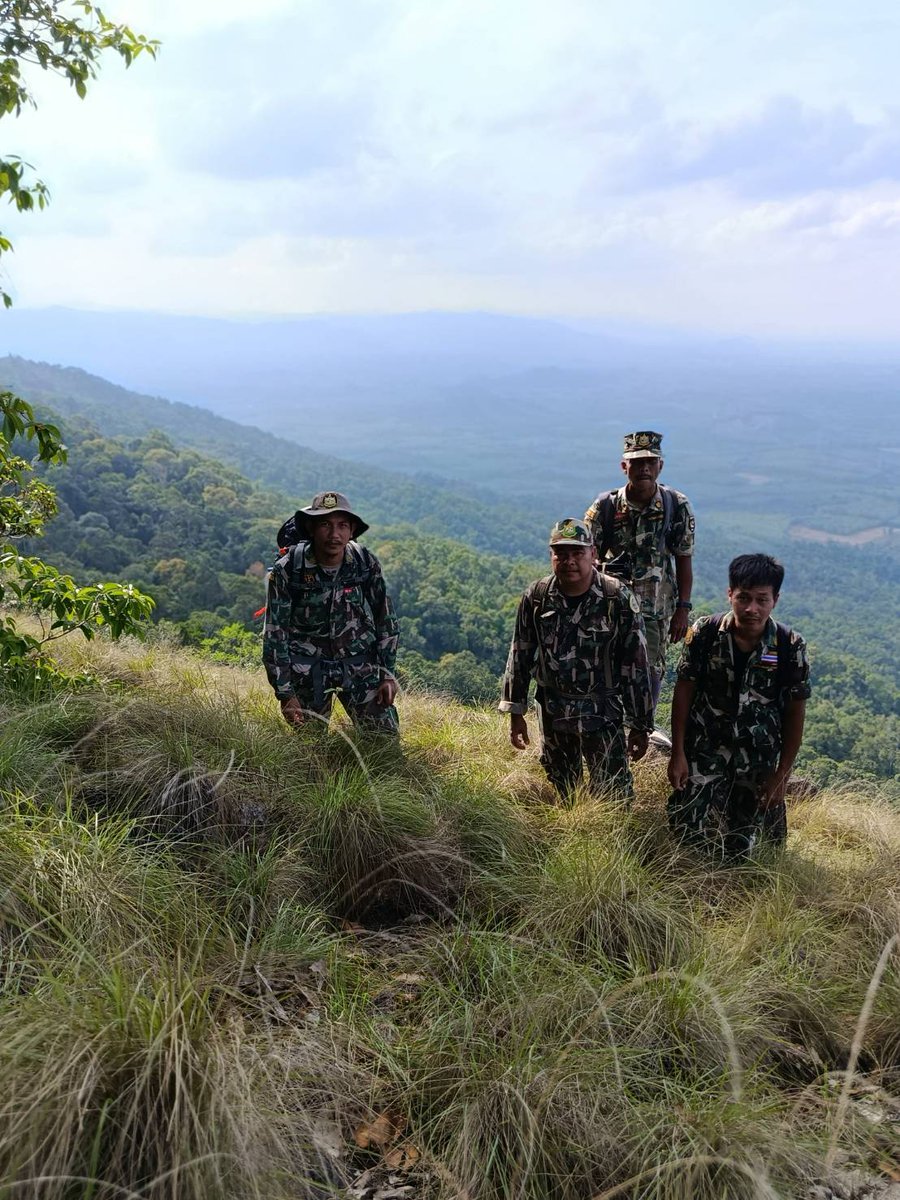 กรมอุทยานแห่งชาติ สัตว์ป่า และพันธุ์พืช tweet media