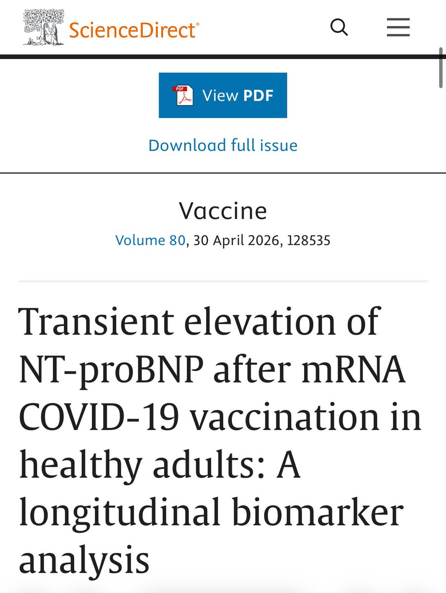 henning rosenbusch tweet media