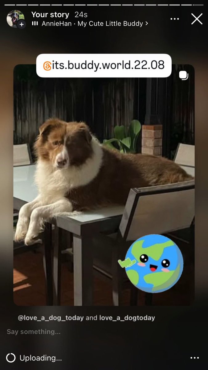 Anman248's tweet photo. Today’s dogs

Follow on IG @love_a_dogtoday and @love_a_dog_today for the complete posts and profiles of these pups
.................
#dog #dogs  #loveadogtoday #loveadogday  #doglove #dogsoftwitter #twitterdogs #twitterdog https://t.co/TPm8i5G7VL