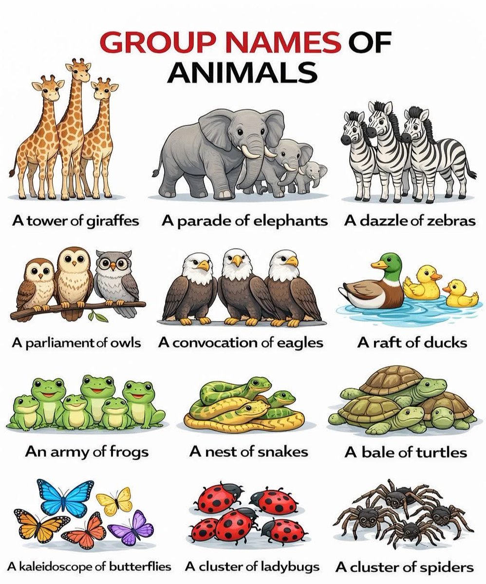 DrOScience tweet media