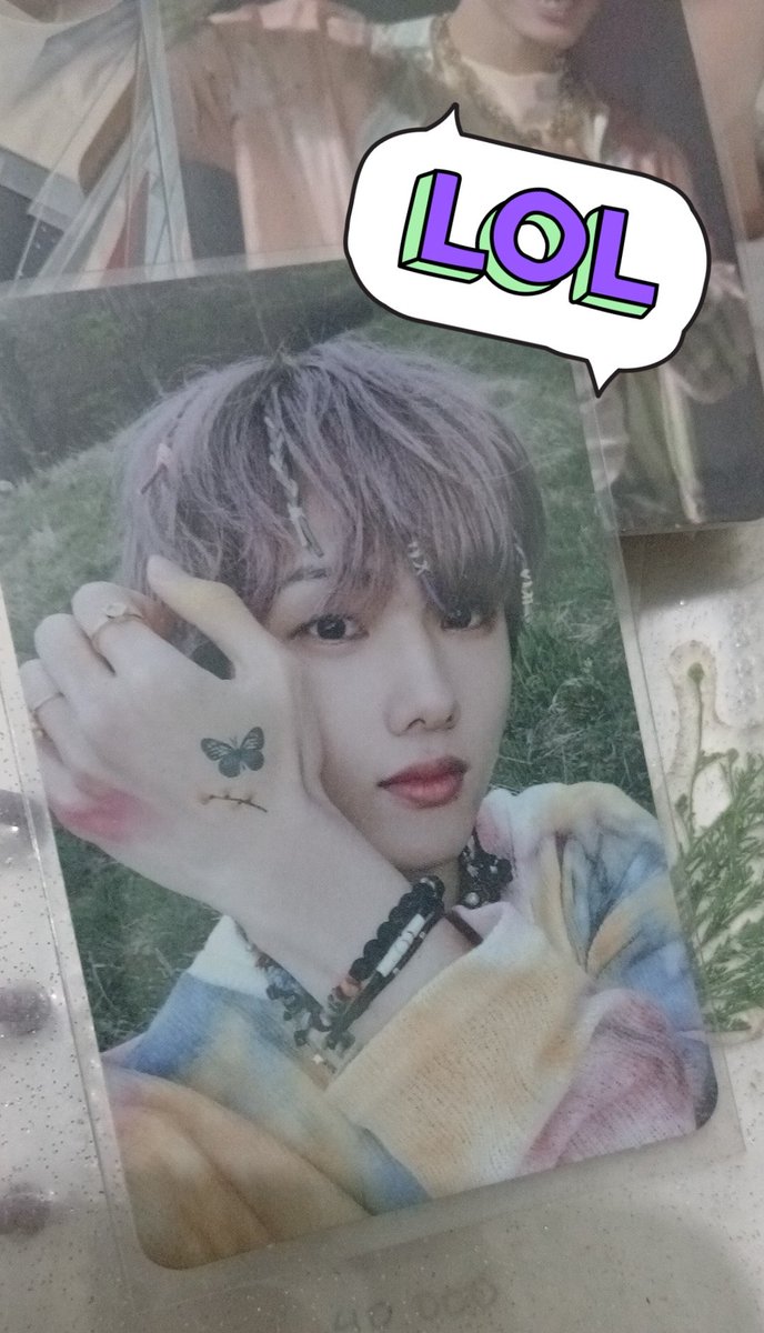 Cipaw's 🐾 tweet media