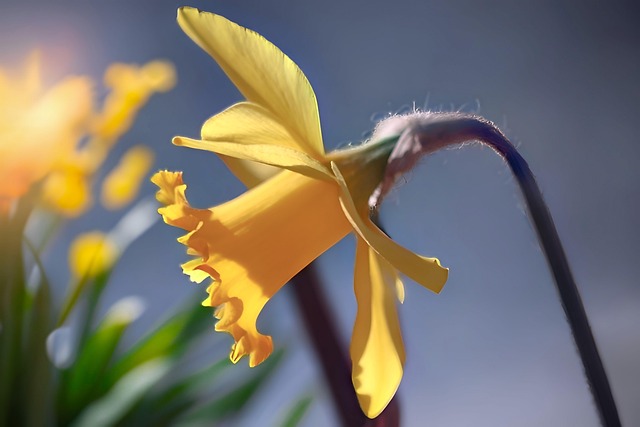 Michael Allford tweet media