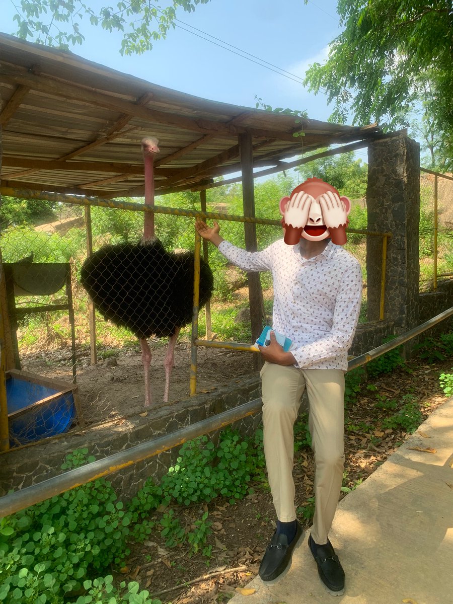 Mixed_Interest's tweet photo. https://t.co/C5ozWTc2aB