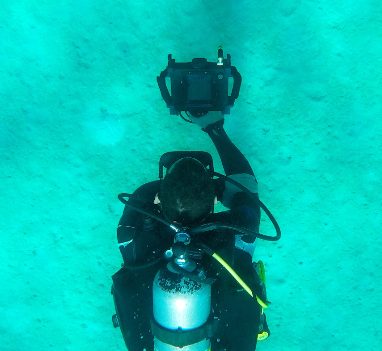 Sleuth 🔎 tweet media