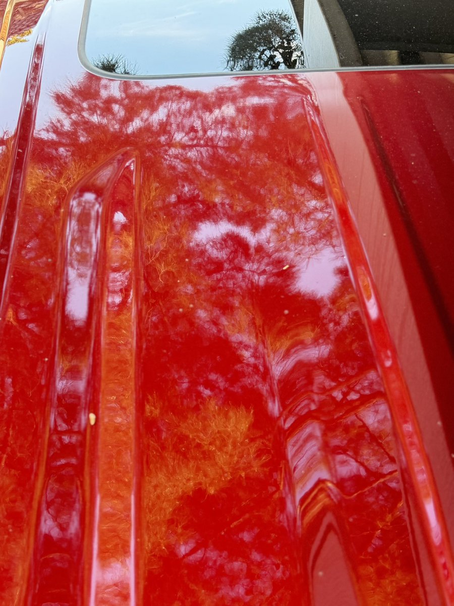 GritsAndGrace tweet media