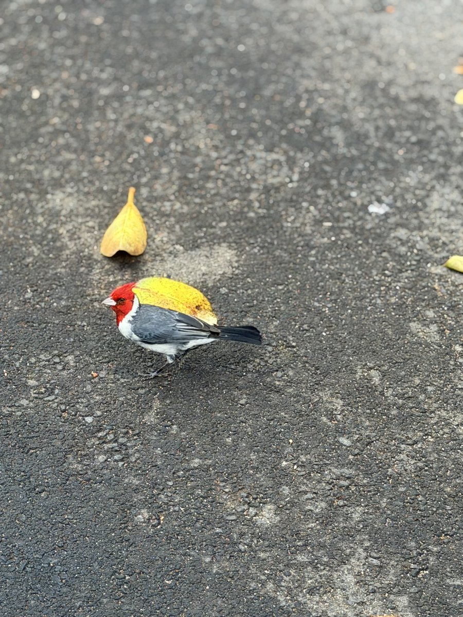 GritsAndGrace tweet media