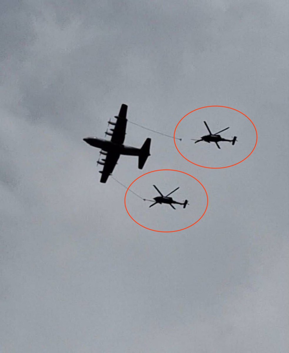 Korobochka (コロボ) 🇦🇺✝️ tweet media