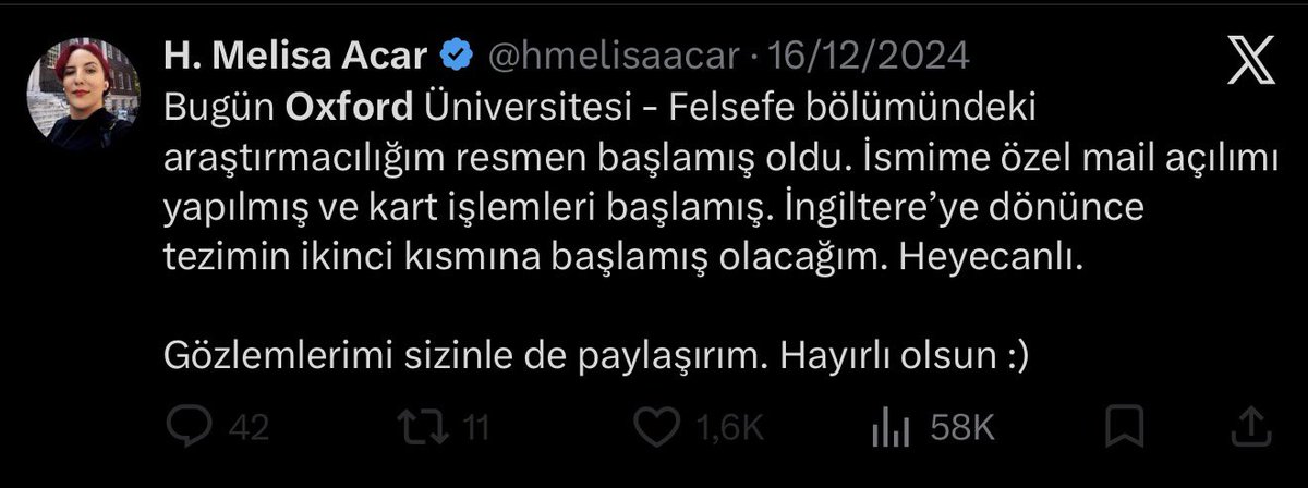 hülülişko tweet media
