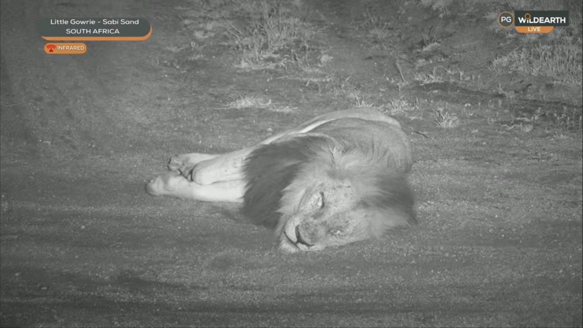 Felipe Bravo tweet media