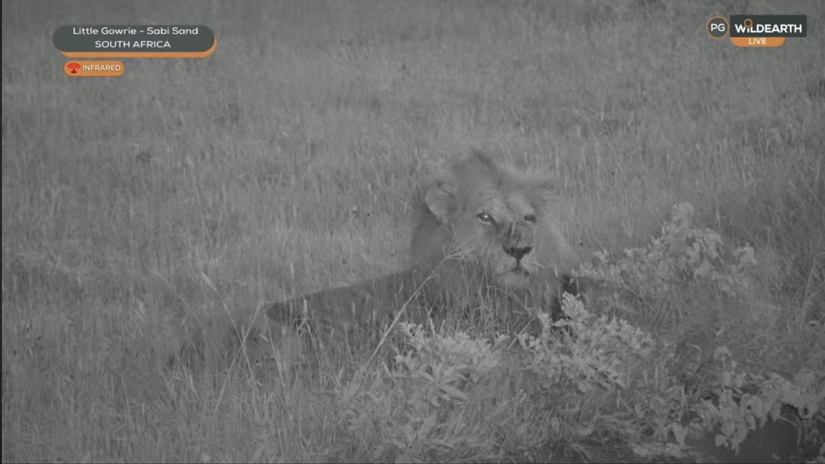 Felipe Bravo tweet media