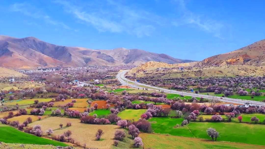 murat onay tweet media