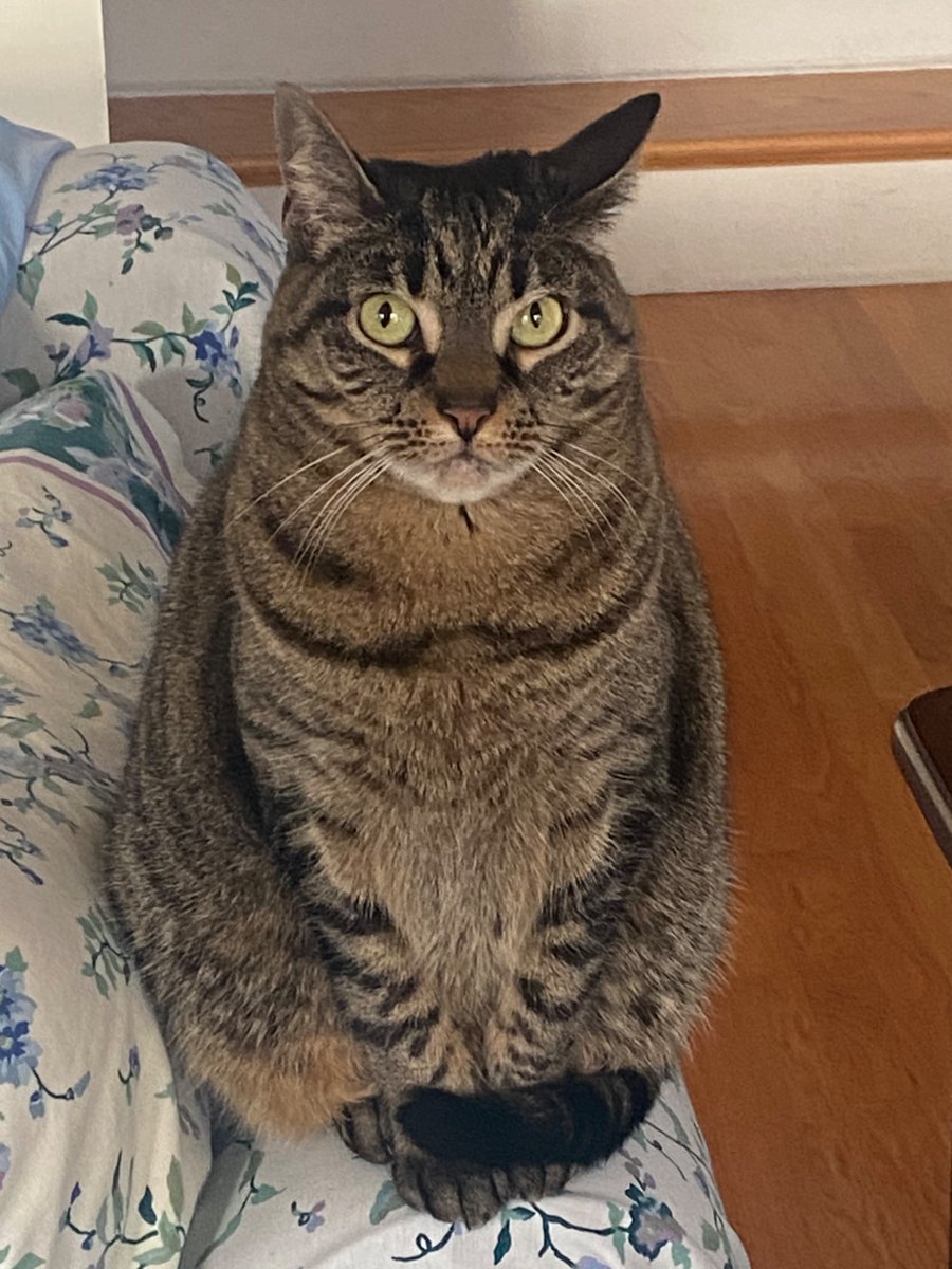 Jay beilis tweet media