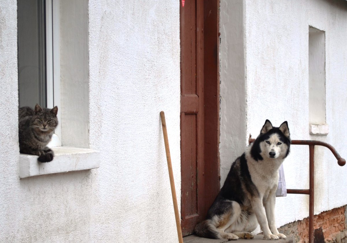 Daniel Brignac tweet media