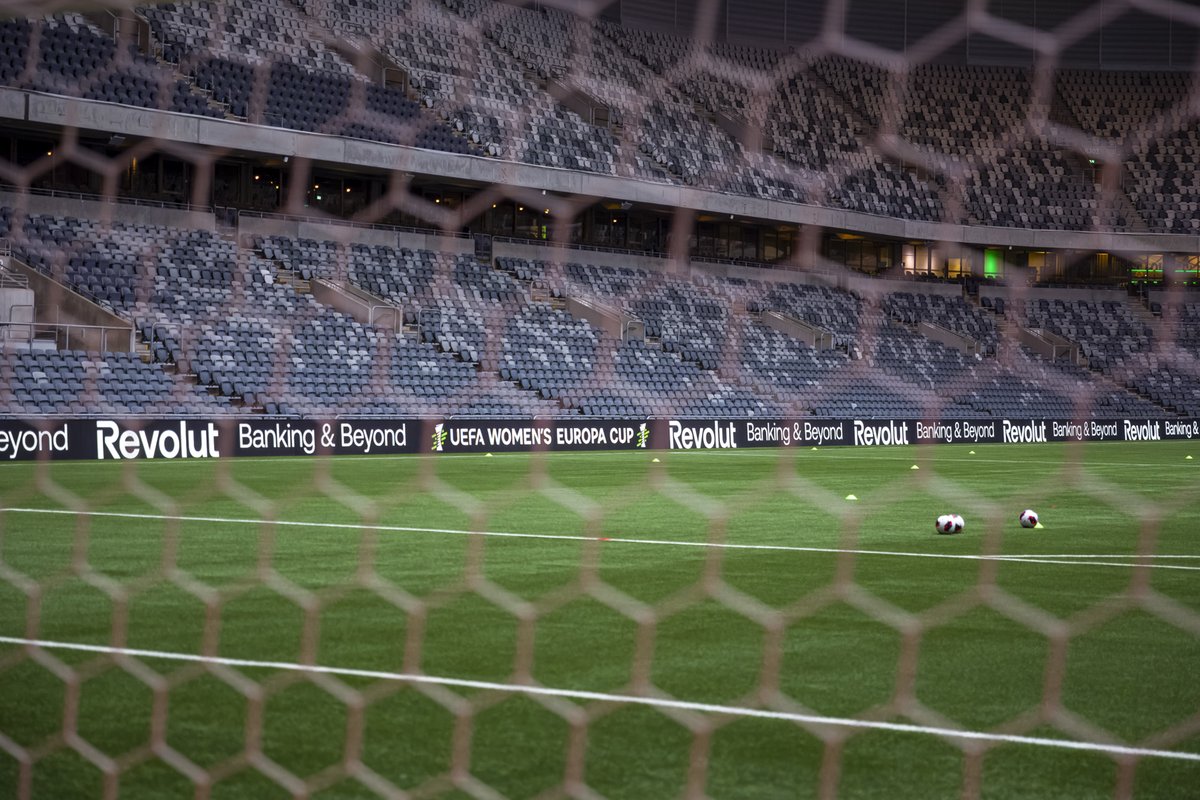 Peter ♛ tweet media