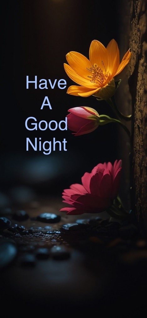 Thabi MaSotobe....🇿🇦💫👑 tweet media