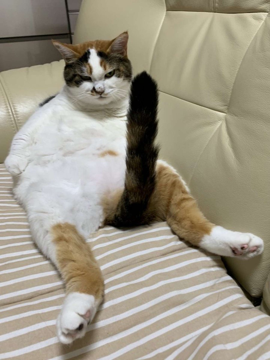 すこぺ tweet media