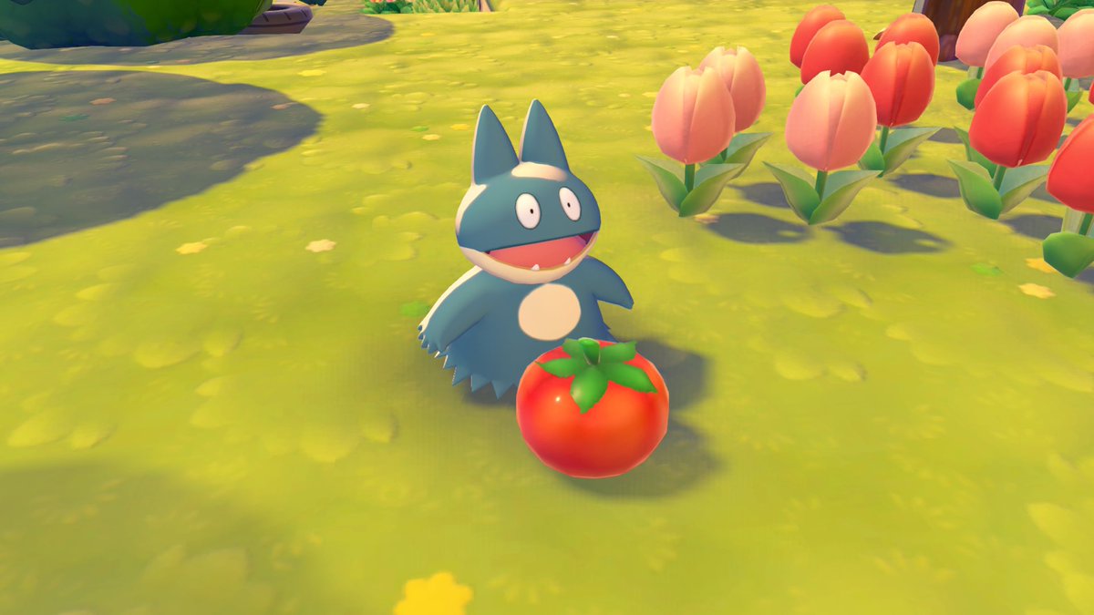 ずー。 tweet media