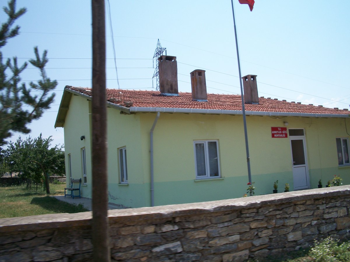 ahmet zekai tweet media