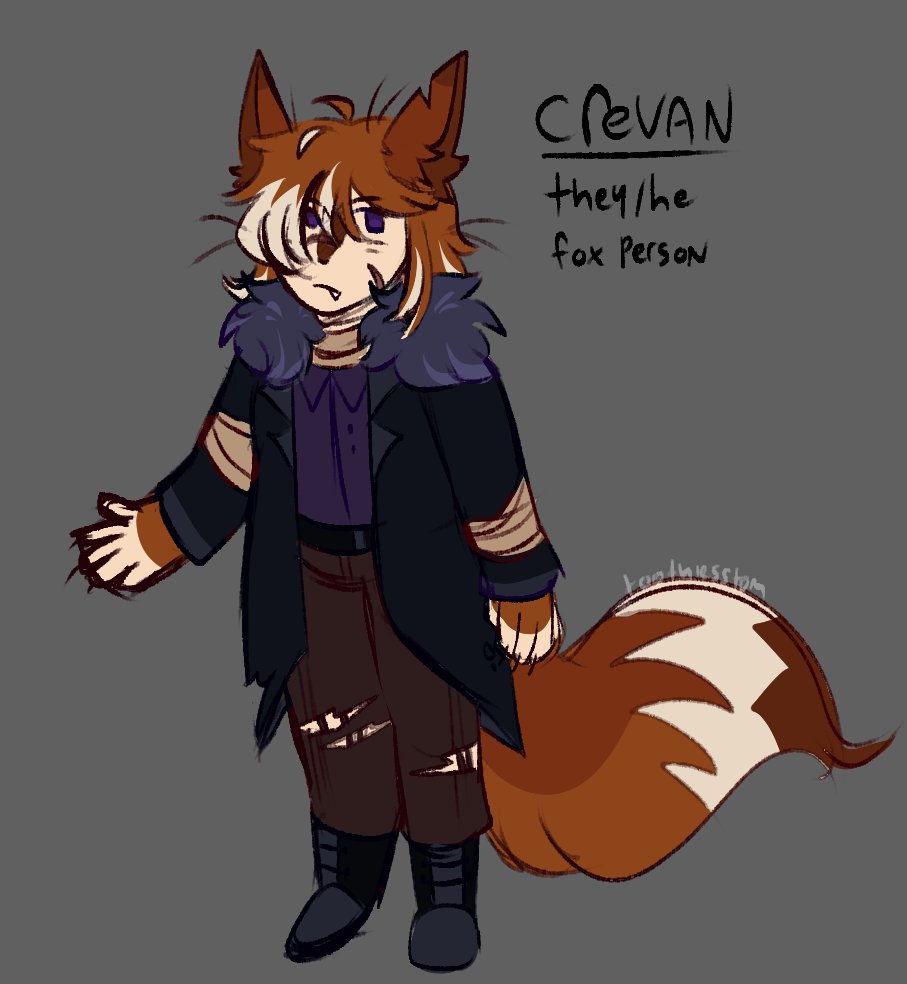 🌙 Lillie / Emil / Tooth ✨ tweet media