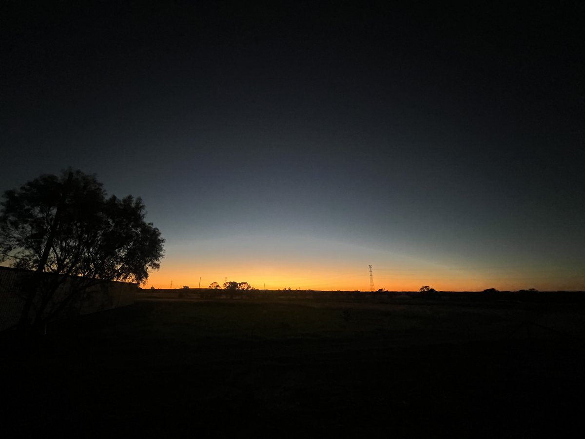 brown bomber tweet media