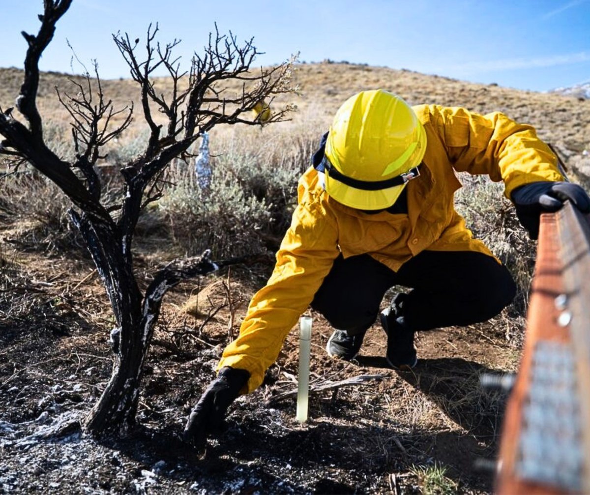 Nevada System of Higher Education tweet media