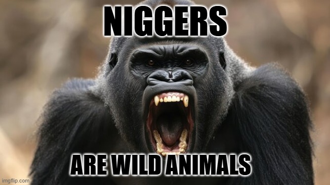 🦅🇺🇸 US Army Veteran 🇺🇸🦅 tweet media