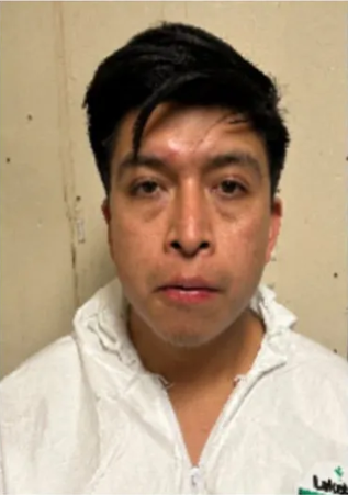 Fox News tweet media