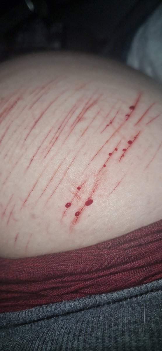 nyan..kitty tweet media