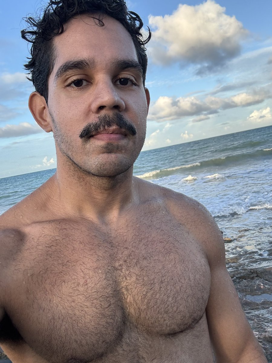 operário das ruínas tweet media