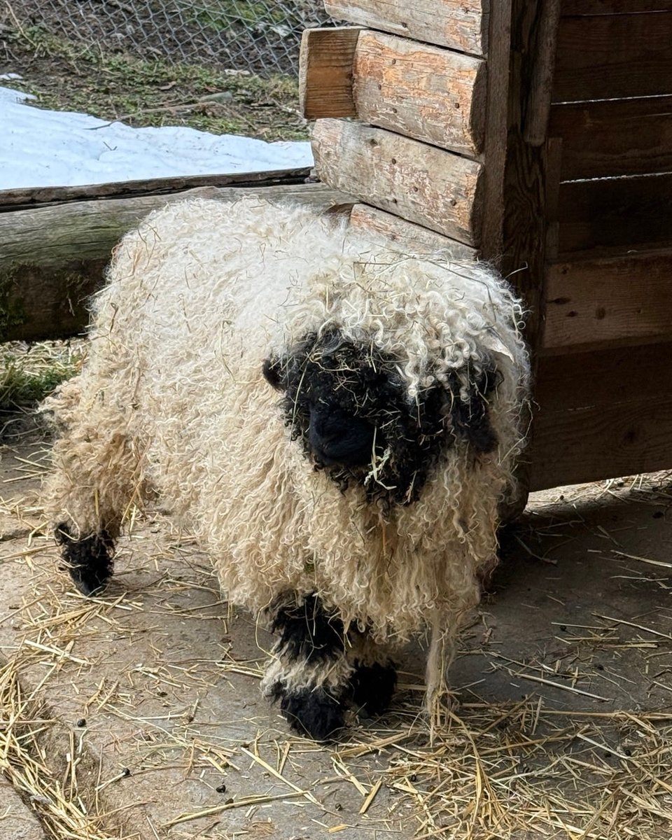 ExperiencedTraveller tweet media