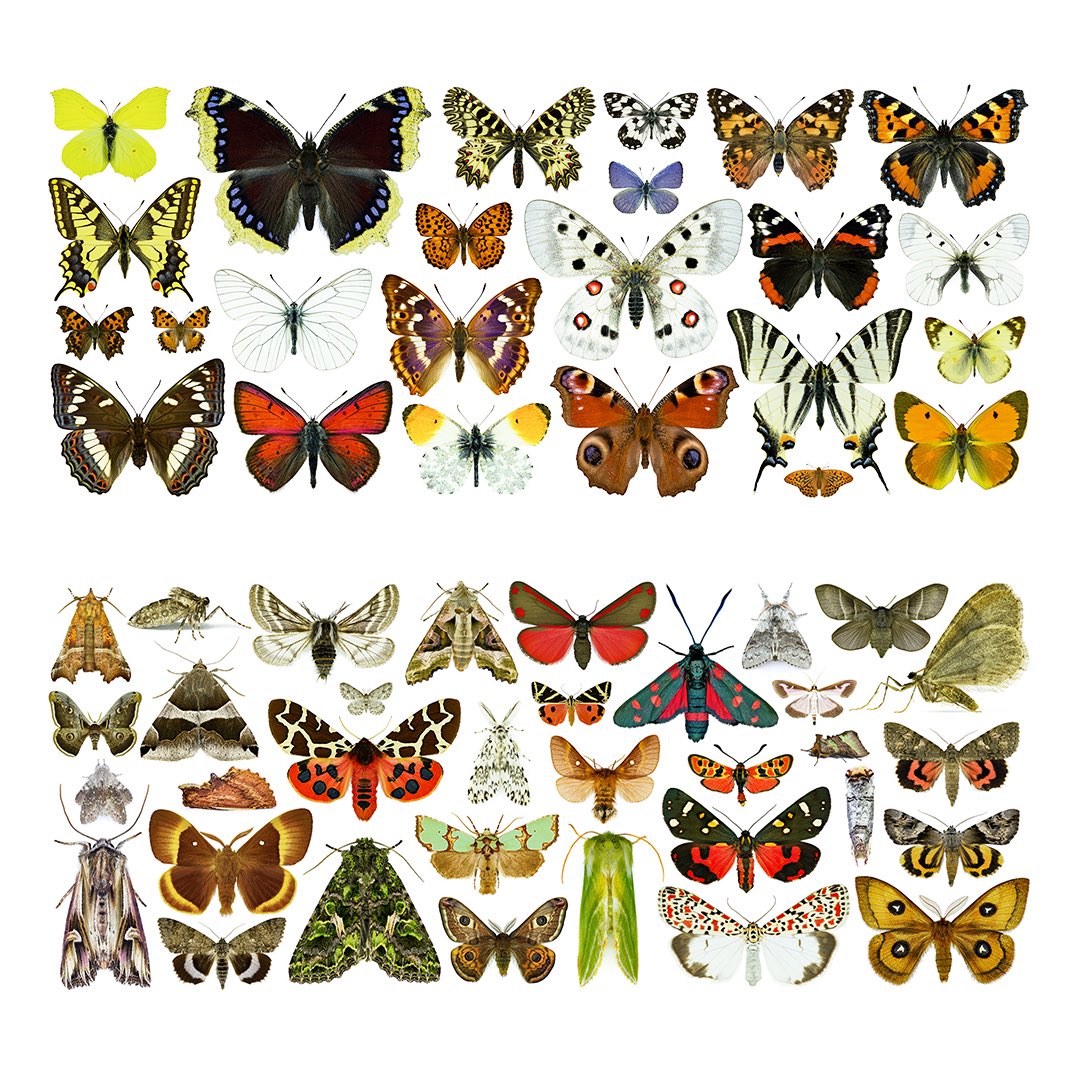 Thorben Danke tweet media