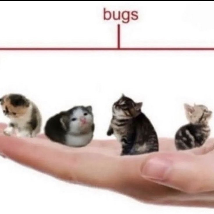 Punch Cat tweet media