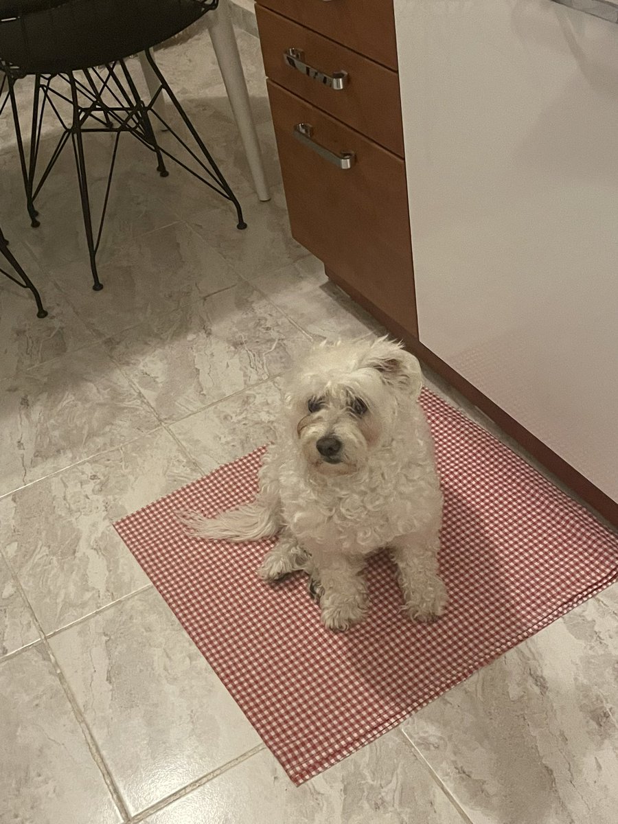 Patisiz olmaz tweet media