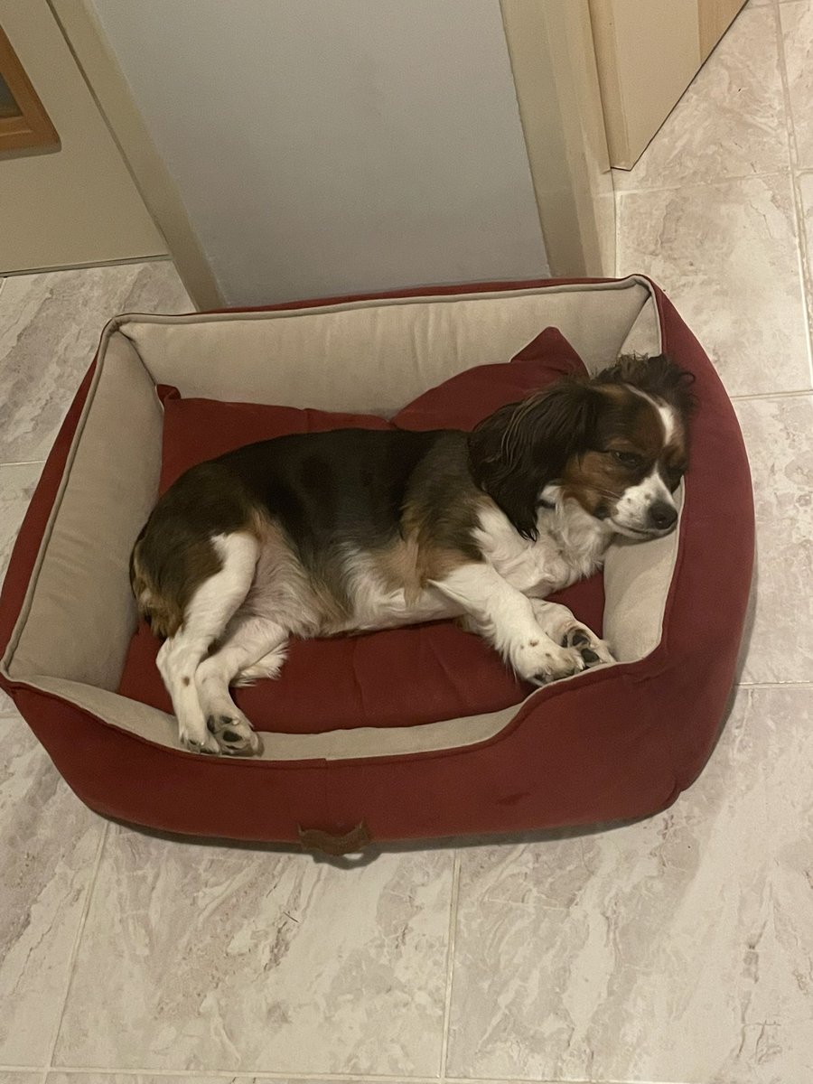 Patisiz olmaz tweet media