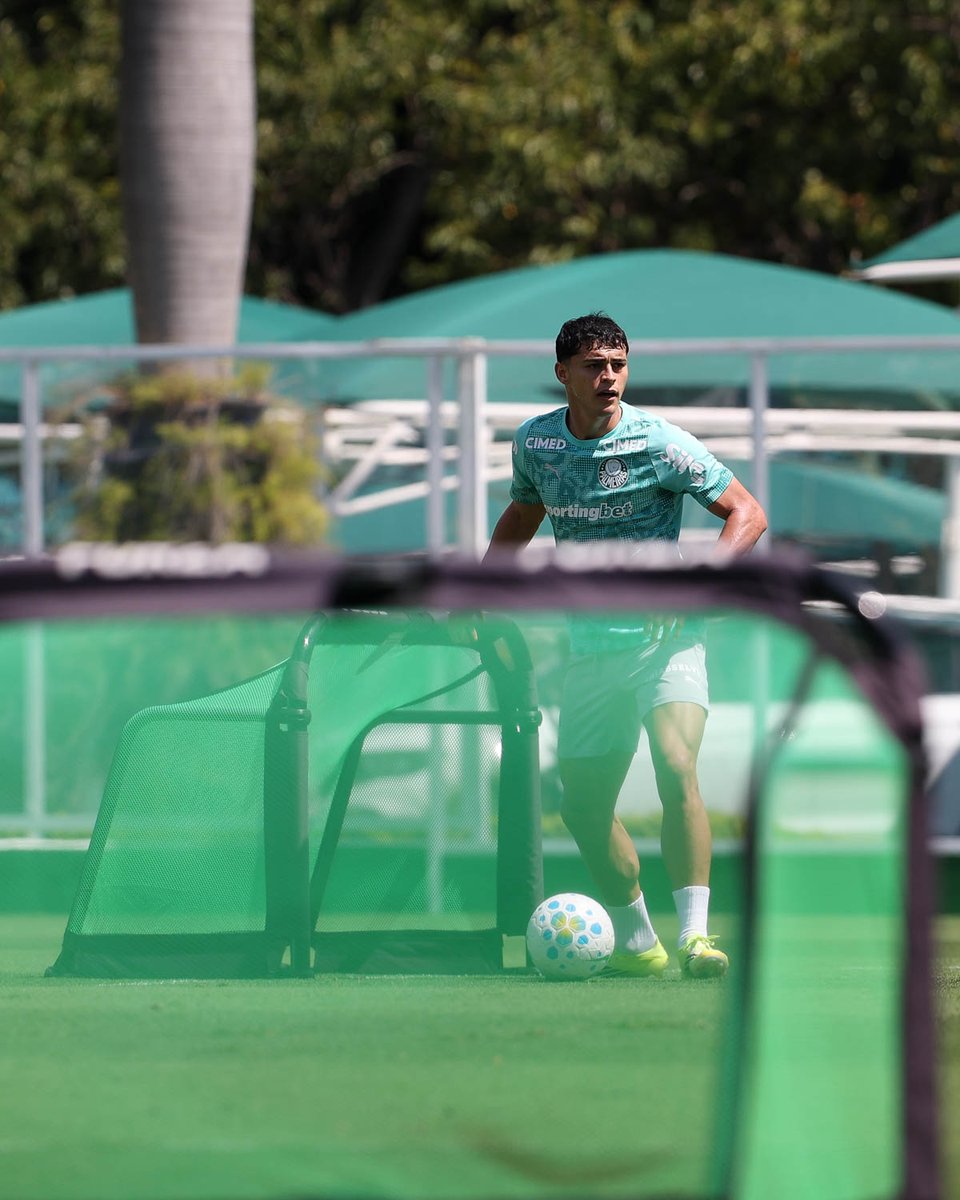 SE Palmeiras tweet media