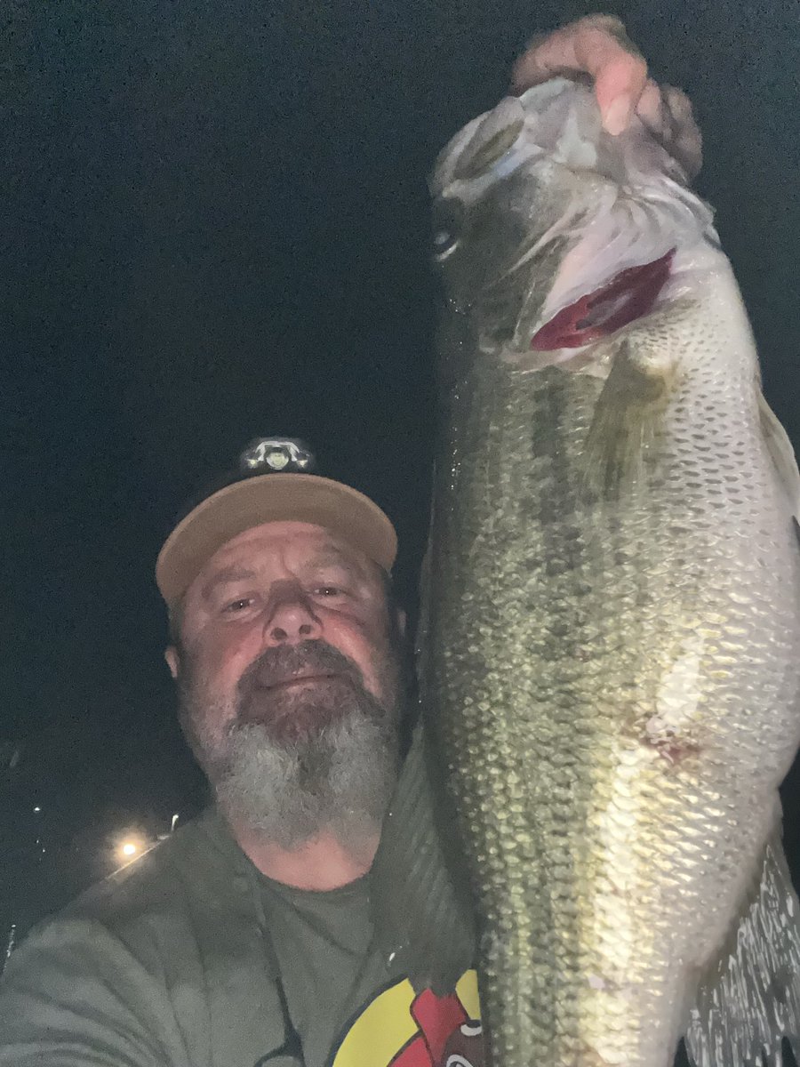 Mitchell tweet media