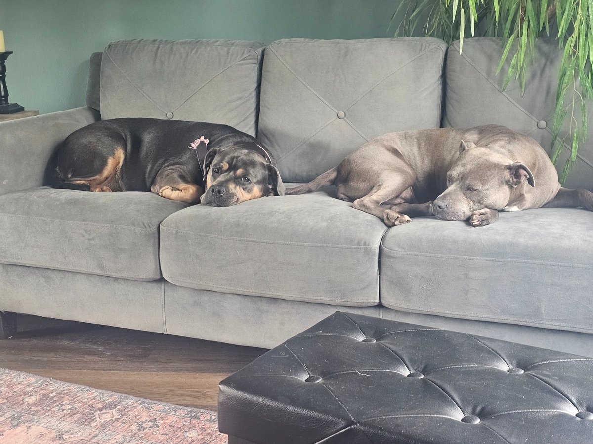 broken_thought tweet media