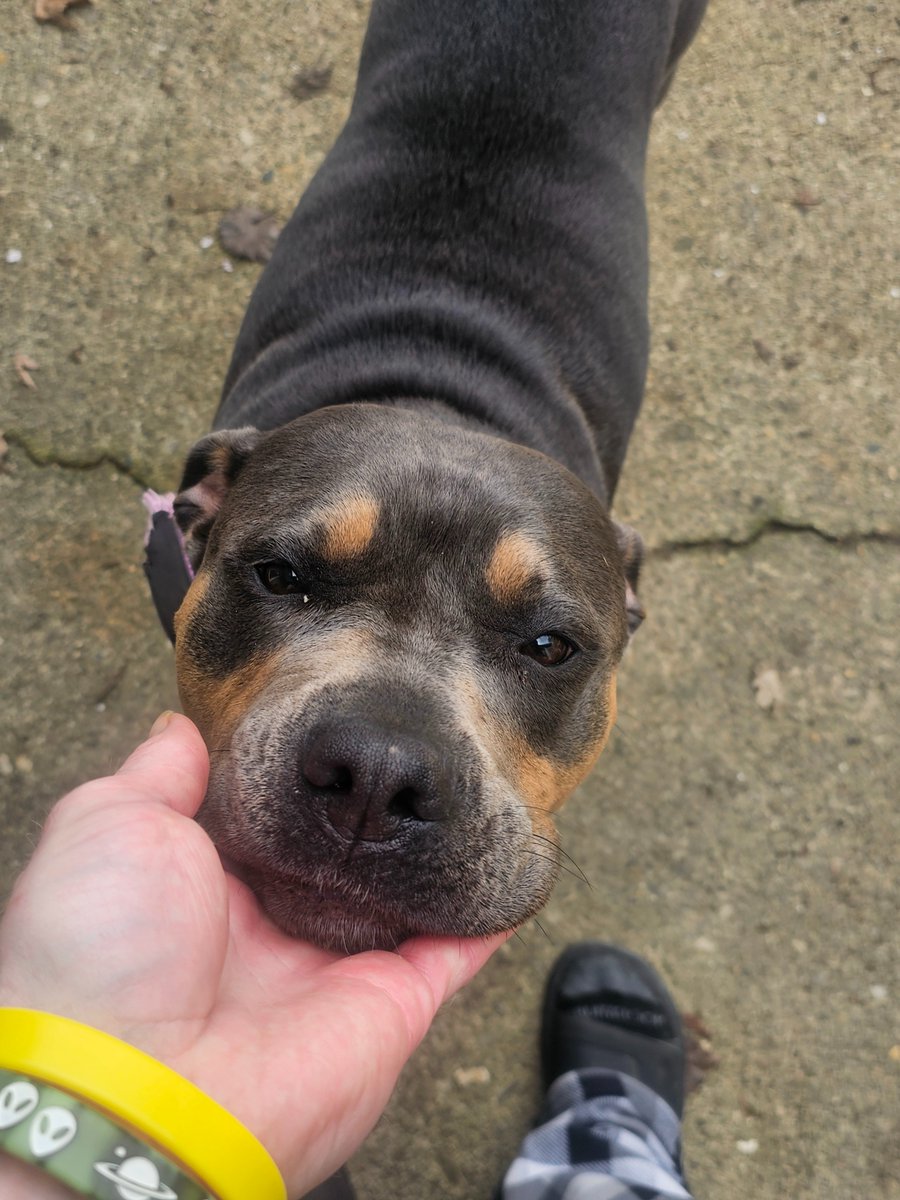 broken_thought tweet media