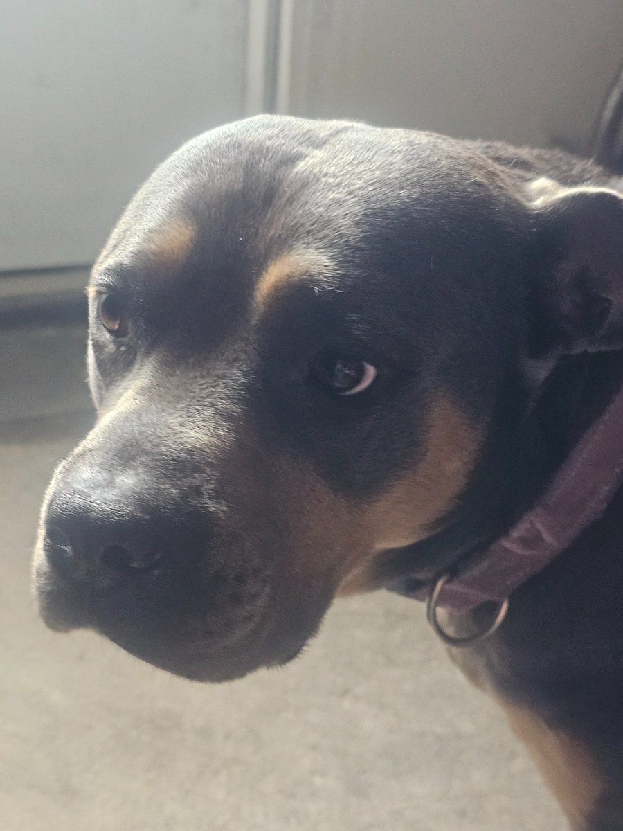 broken_thought tweet media