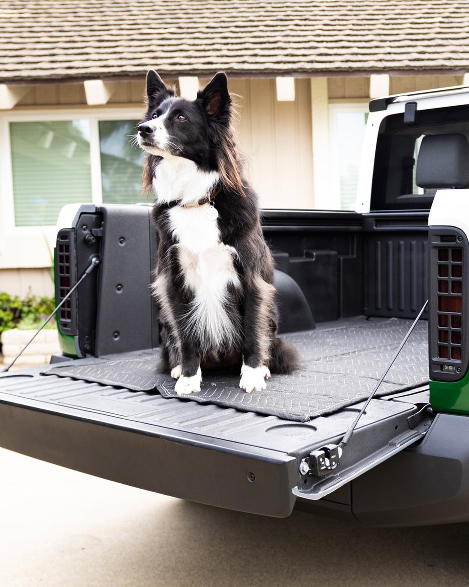 Slate Auto tweet media