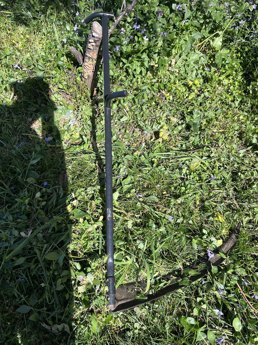 Mastocito on fire tweet media