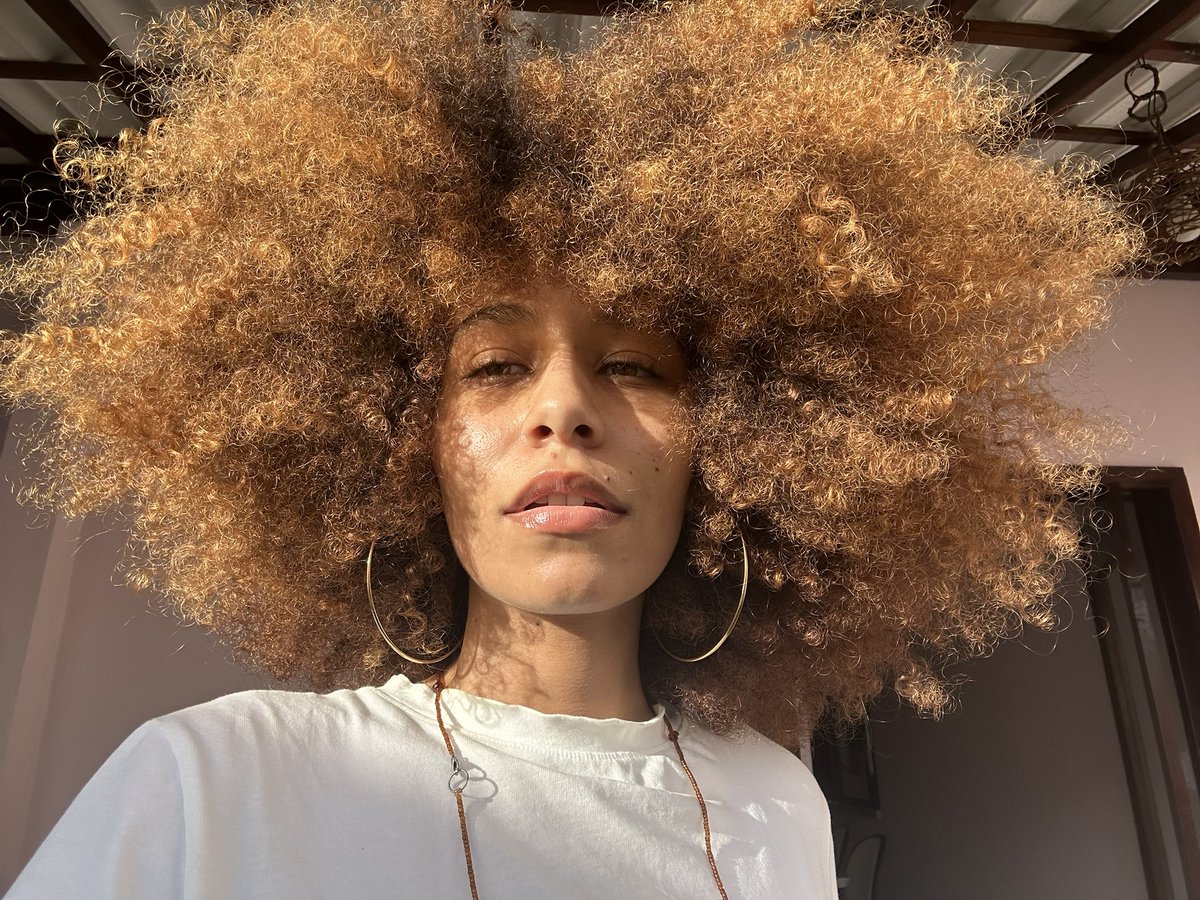 vilarina tweet media