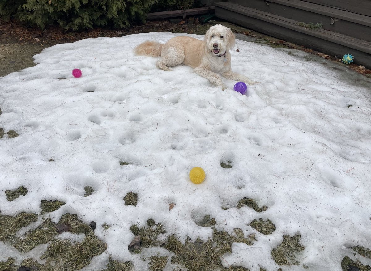 Adventures Of Skye tweet media