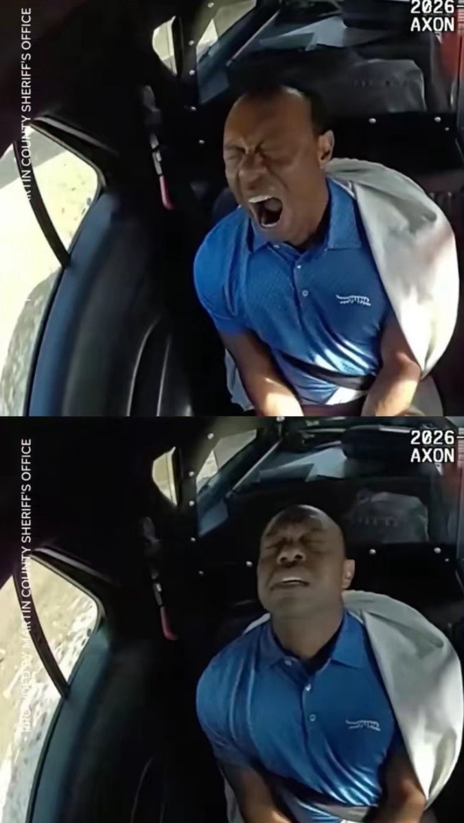 Bob 🎲🌴 tweet media