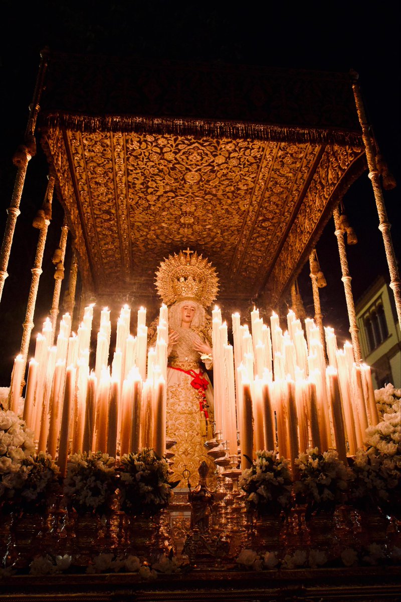 elllamadorcsr tweet media