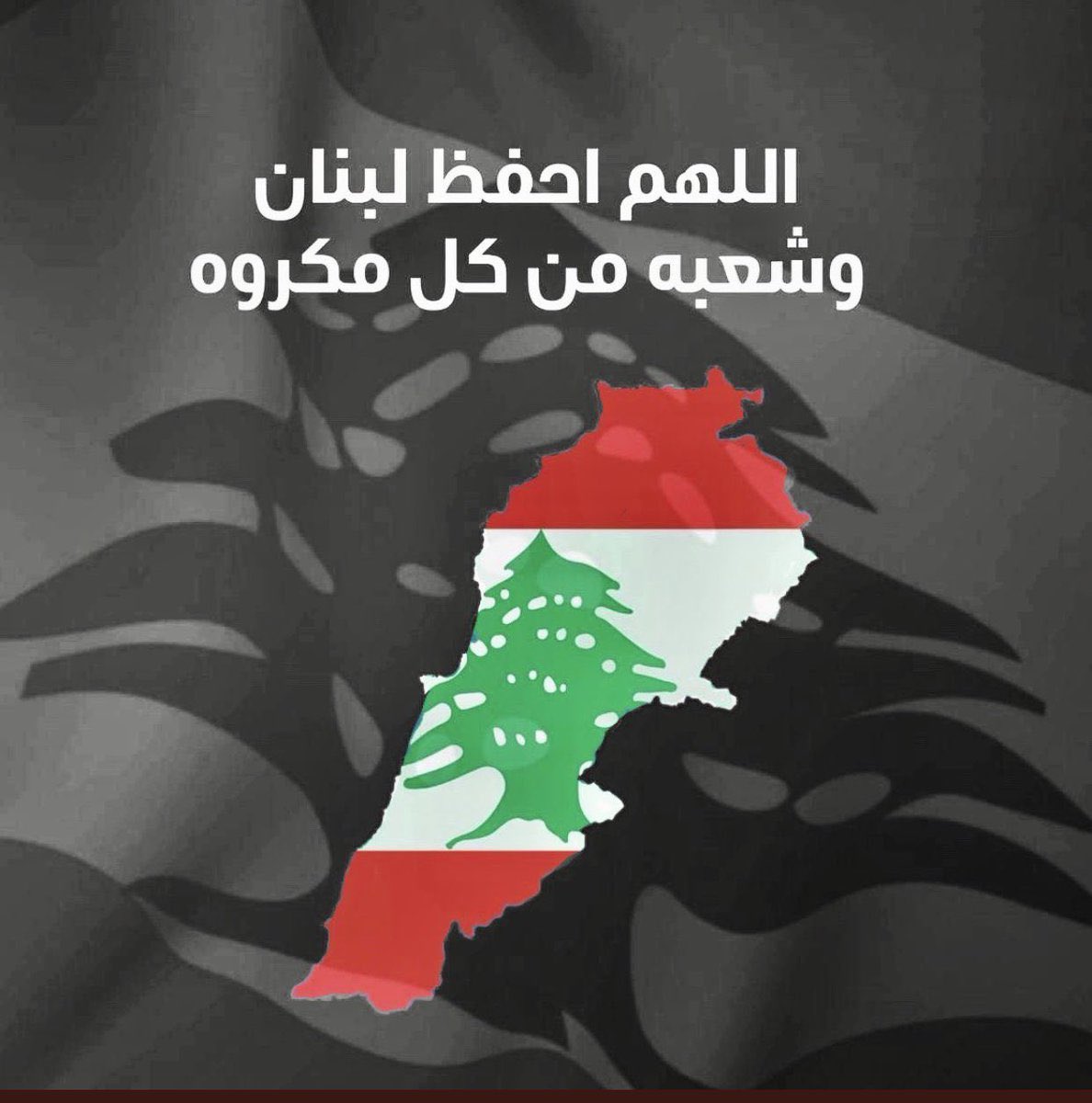 م . اماراتي 🇦🇪 UAE tweet media